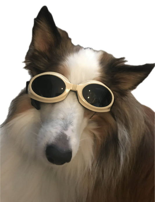 Doggles Dog Laser Glasses