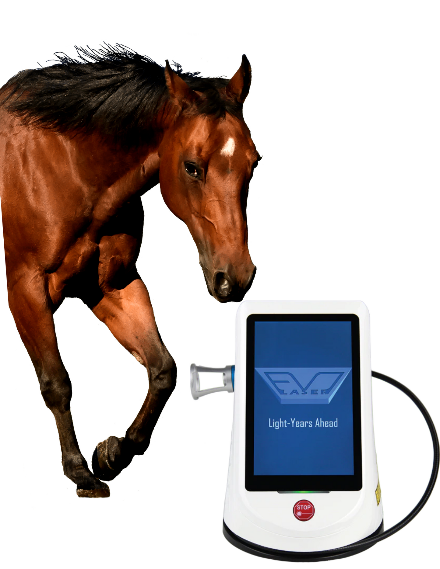 Evo Q27 Equine Laser